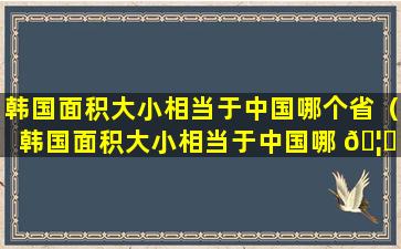 韩国面积大小相当于中国哪个省（韩国面积大小相当于中国哪 🦊 个省的面积）